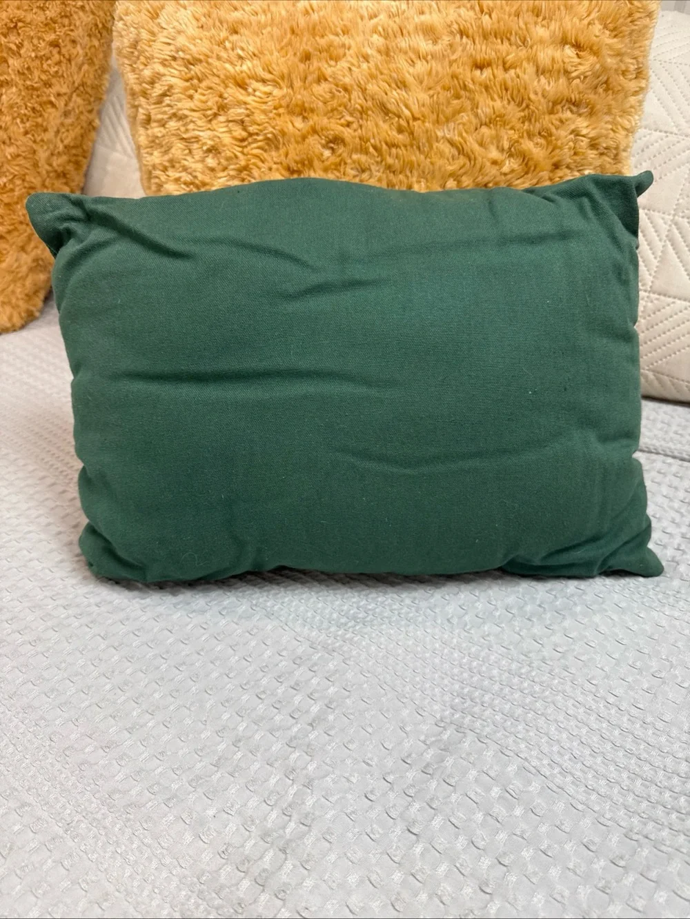 Festive Snowman Tapestry Accent Pillow - Green and Cream